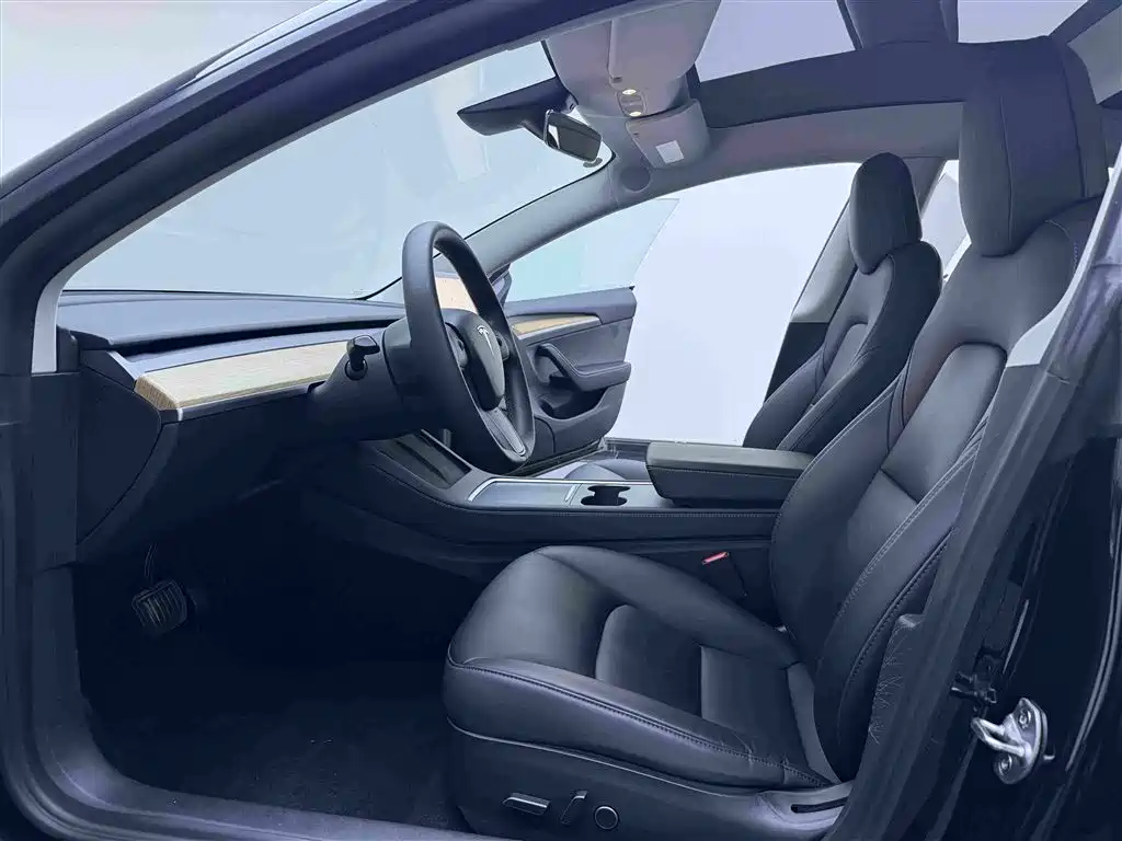 Tesla Model 3 — миниатюра 14