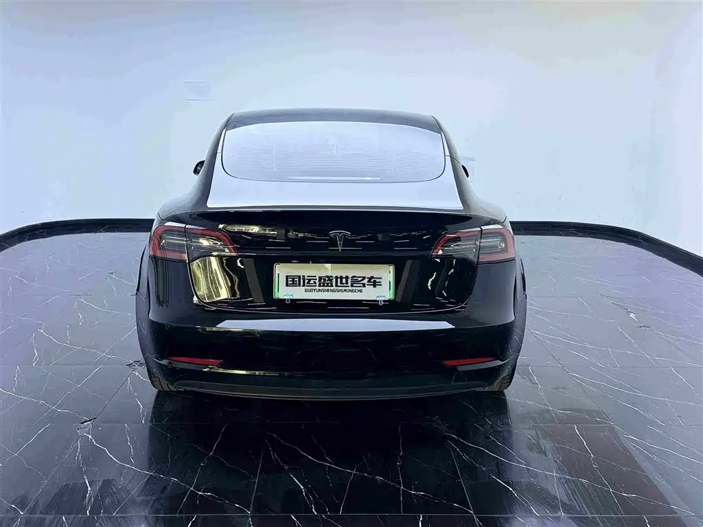 Tesla Model 3 — миниатюра 5