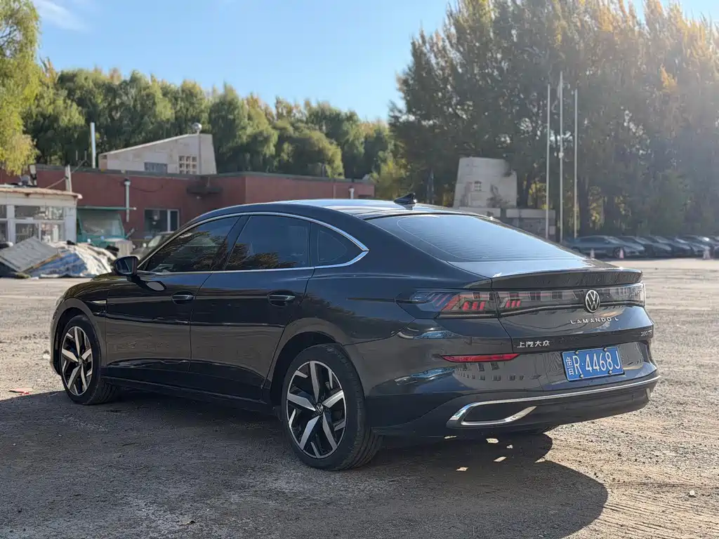 Volkswagen Lamando — миниатюра 4