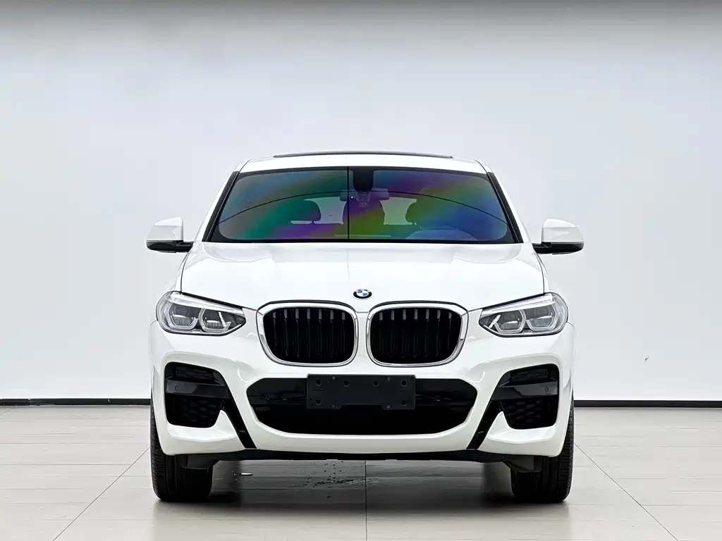BMW X4 — миниатюра 2