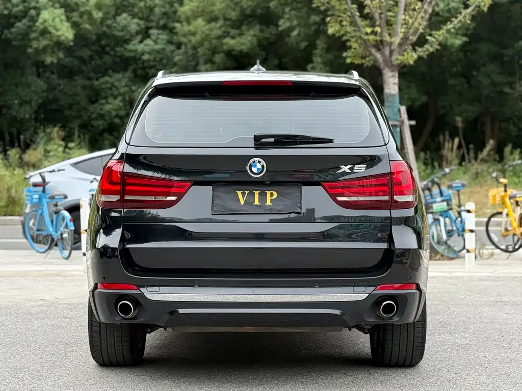 BMW X5 (Import) — миниатюра 5