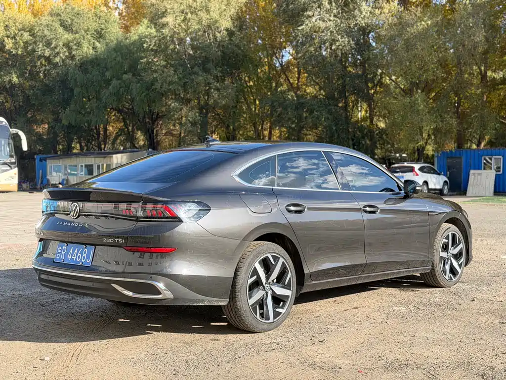 Volkswagen Lamando — миниатюра 6