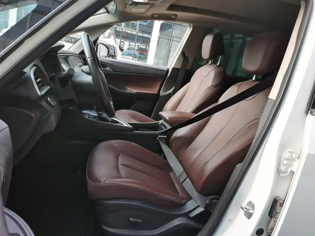 Buick GL6 — миниатюра 15