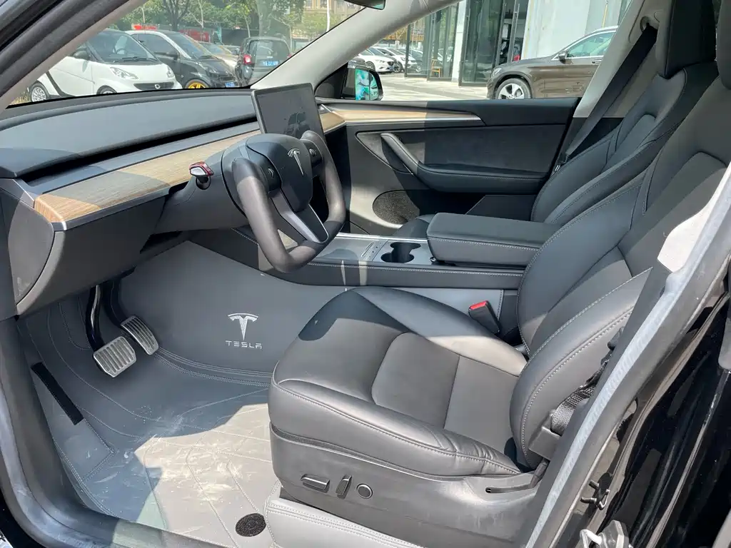 Tesla Model Y — миниатюра 10