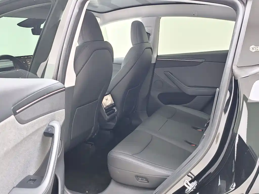 Tesla Model Y — миниатюра 7