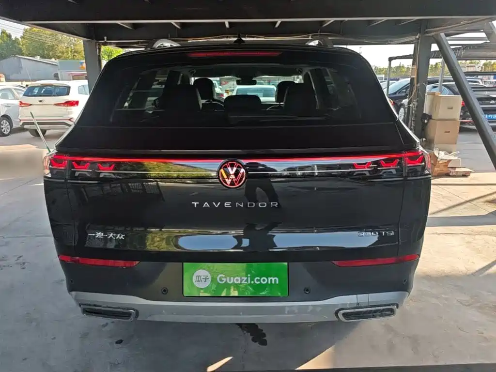Volkswagen Tavendor — миниатюра 6
