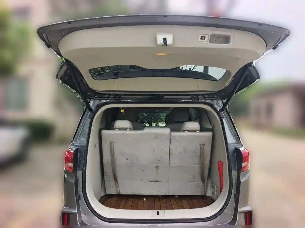Buick GL8 — миниатюра 15