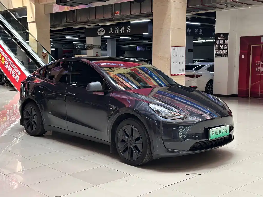 Tesla Model Y — миниатюра 3
