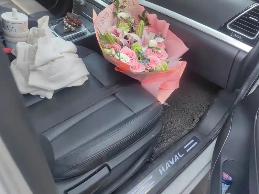 Haval H6 Coupe — миниатюра 8