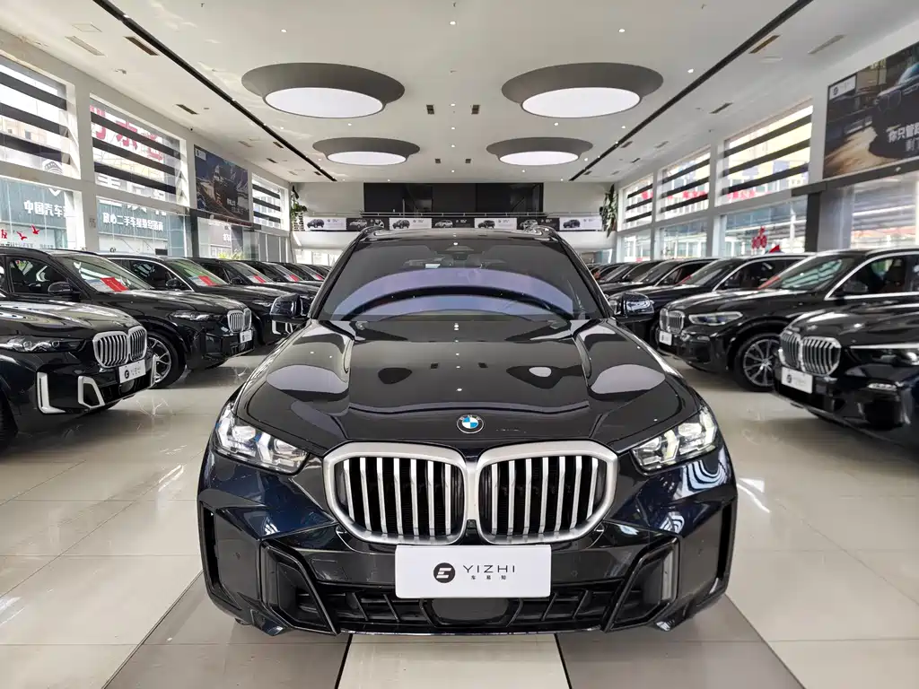 BMW X5 — миниатюра 2