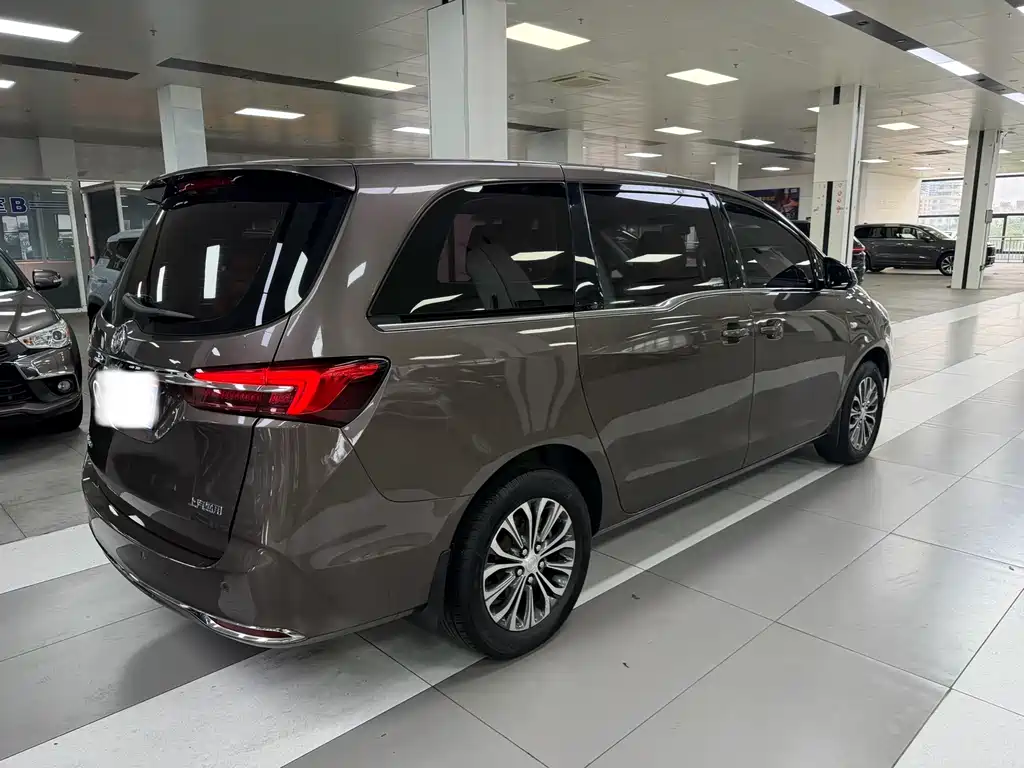Buick GL8 — миниатюра 9