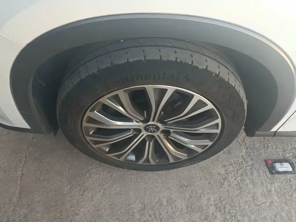 BYD Pro New Energy — миниатюра 23