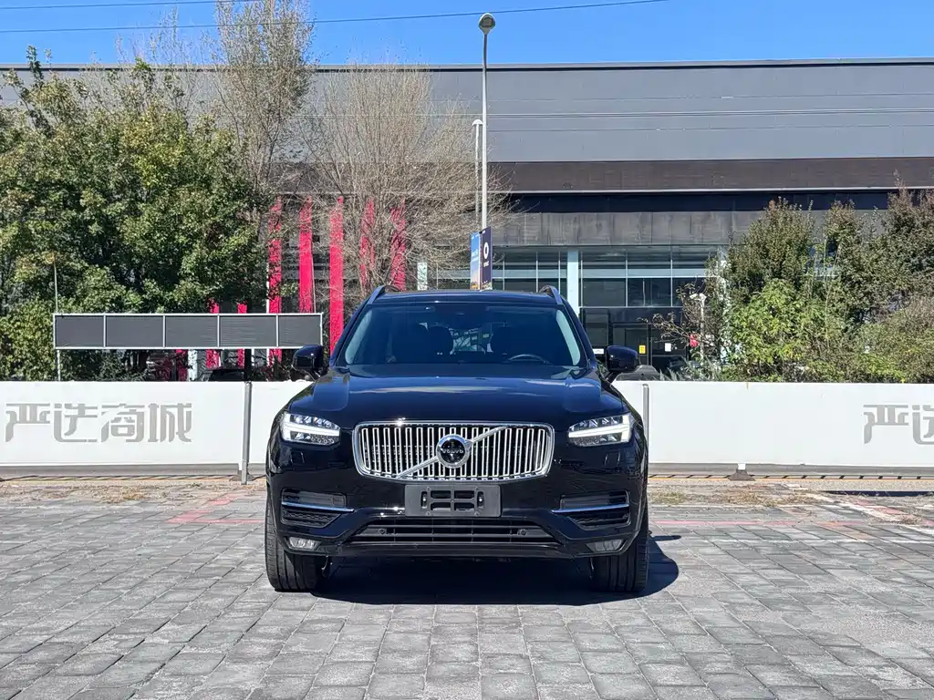 Volvo XC90 — миниатюра 2