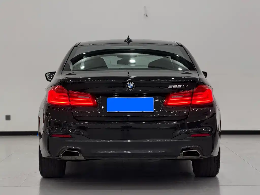 BMW 5 Series — миниатюра 3