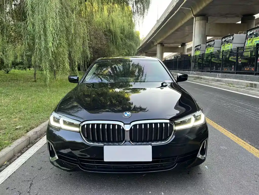 BMW 5 Series — миниатюра 2