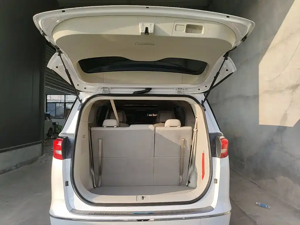 Buick GL8 — миниатюра 19