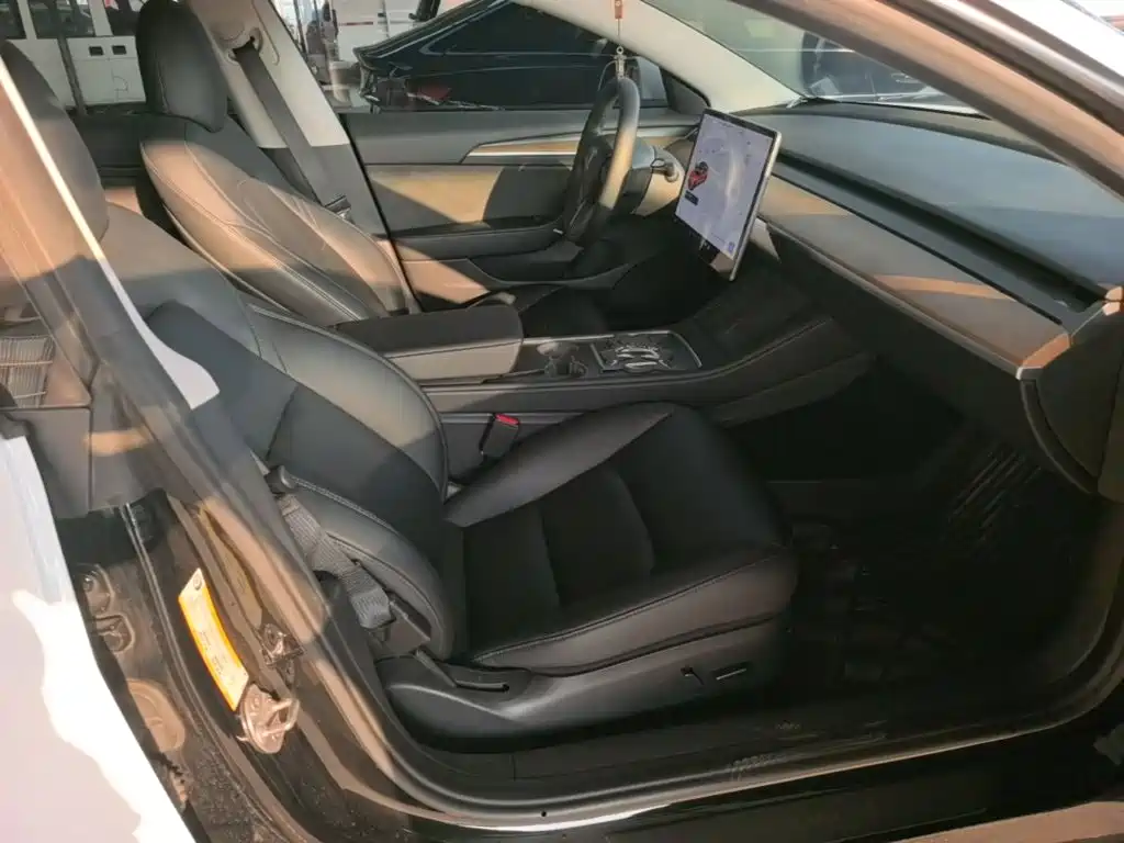 Tesla Model 3 — миниатюра 25