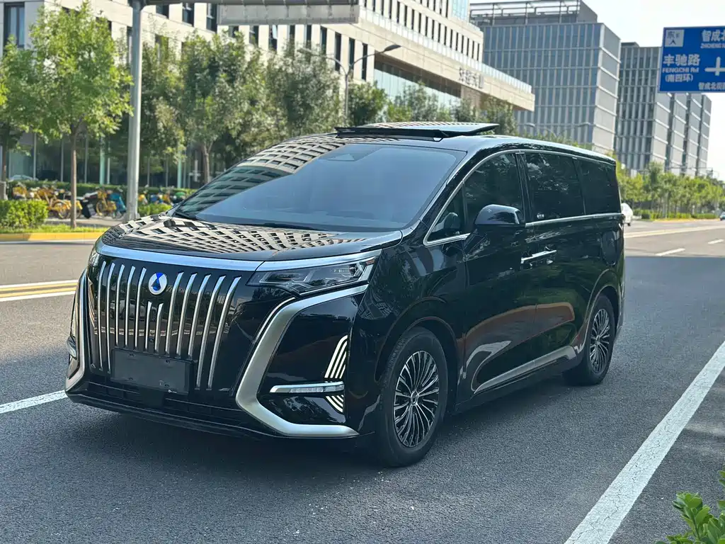 Denza Denza D9