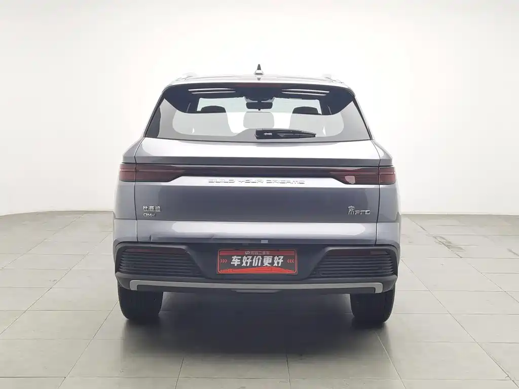 BYD Pro New Energy — миниатюра 4