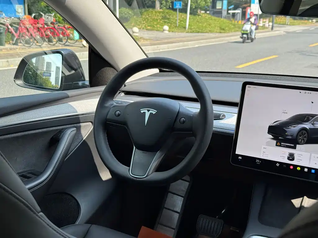 Tesla Model Y — миниатюра 7