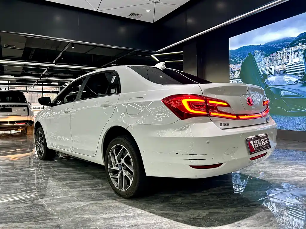 BYD QINXIN ENERGY