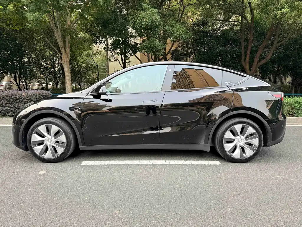 Tesla Model Y — миниатюра 5