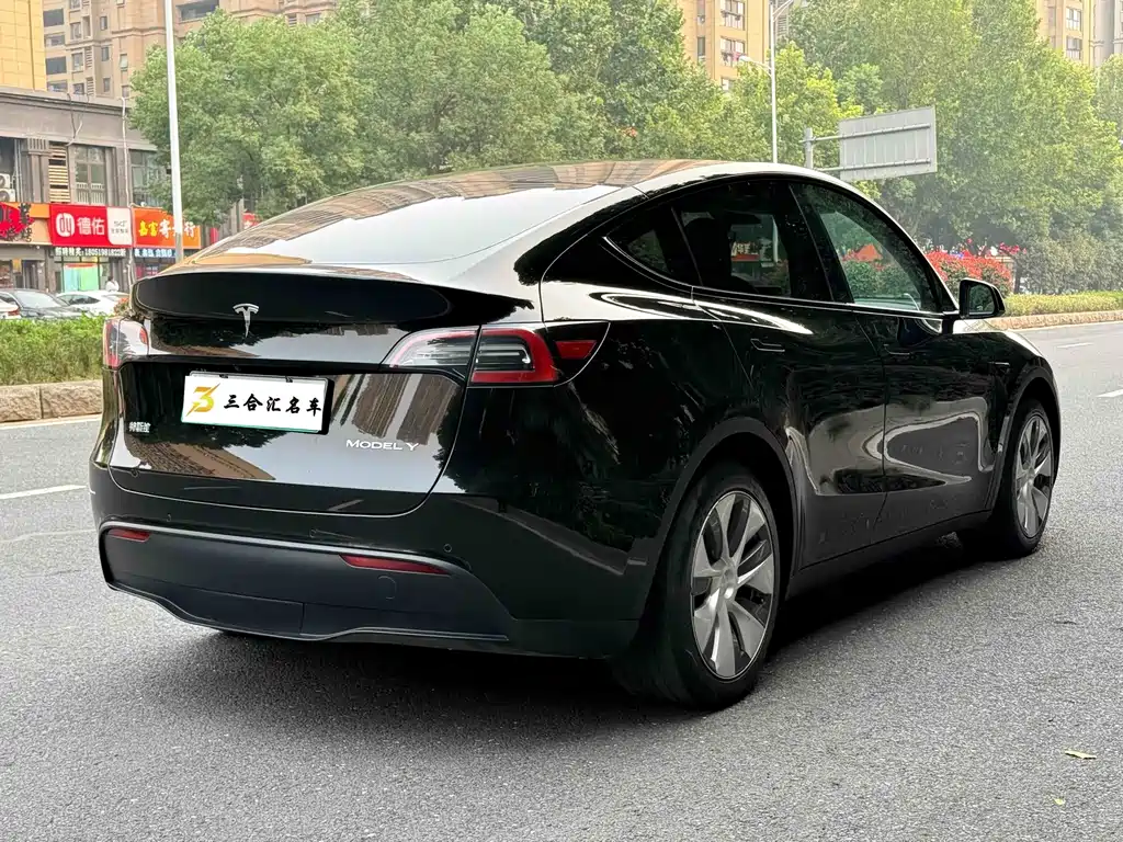 Tesla Model Y — миниатюра 10