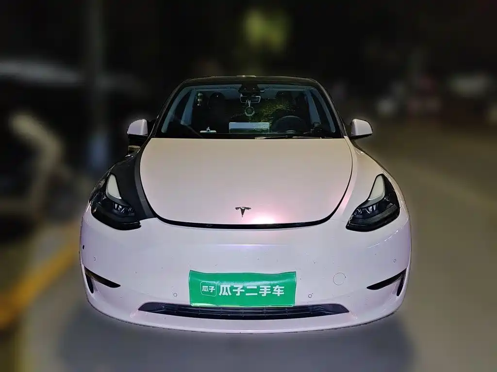 Tesla Model Y — миниатюра 2