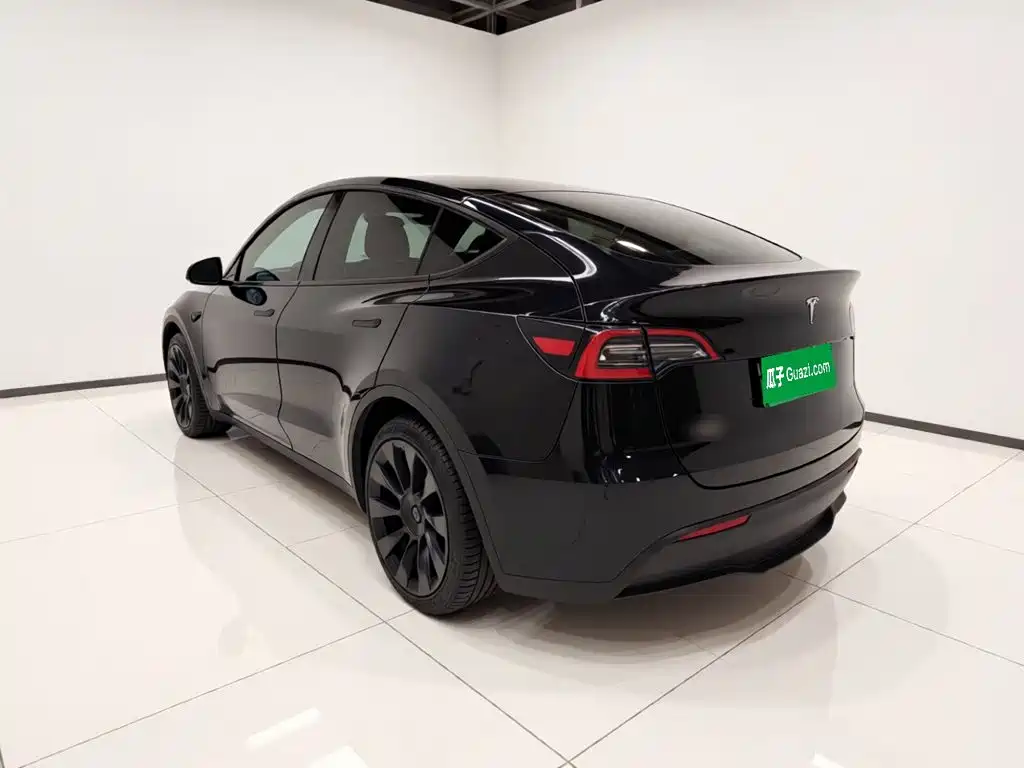 Tesla Model Y — миниатюра 4