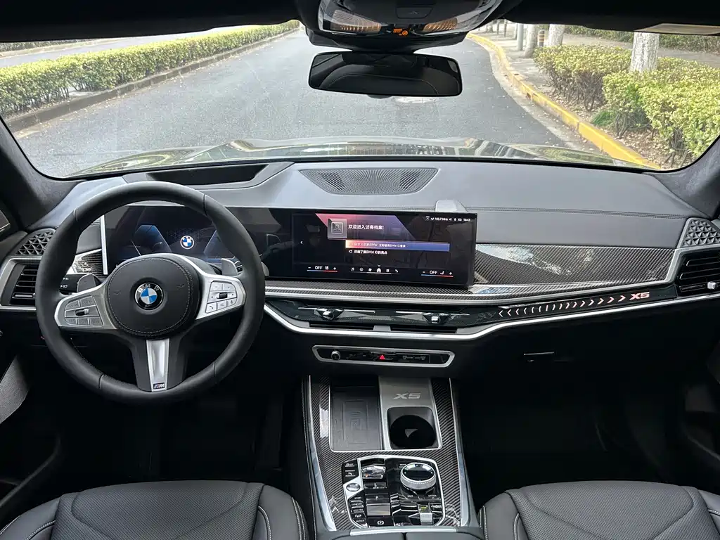 BMW X5 — миниатюра 10