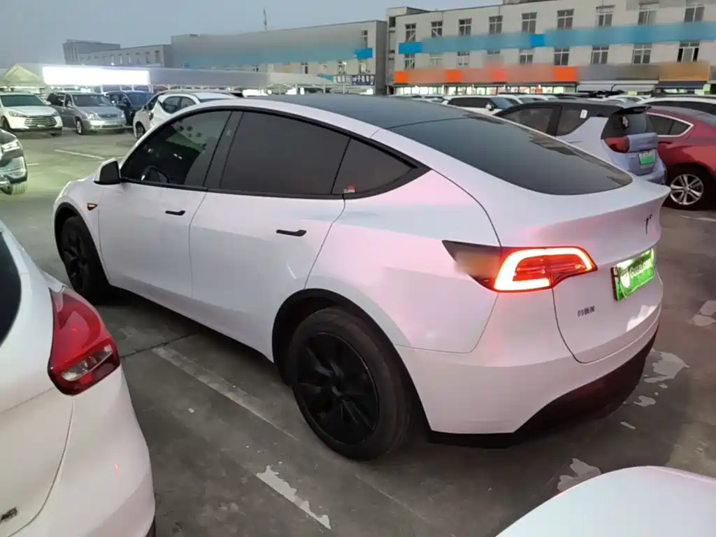 Tesla Model Y — миниатюра 5