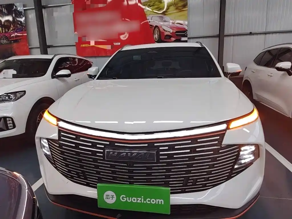 Haval Shenshou — миниатюра 3