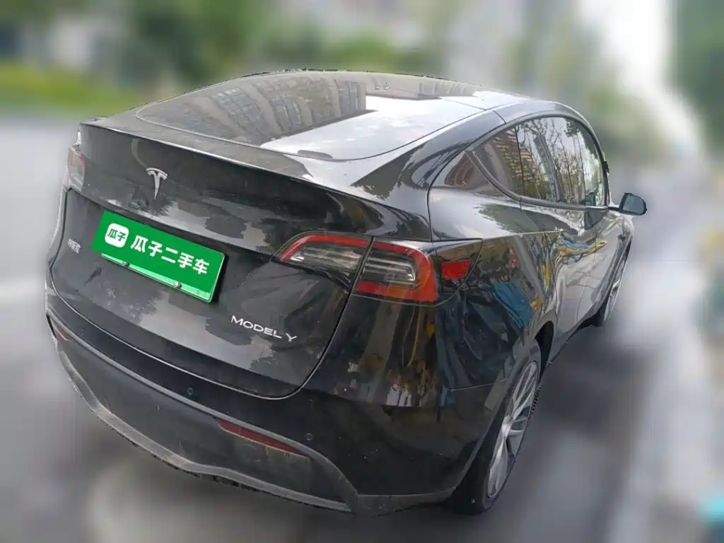 Tesla Model Y — миниатюра 4