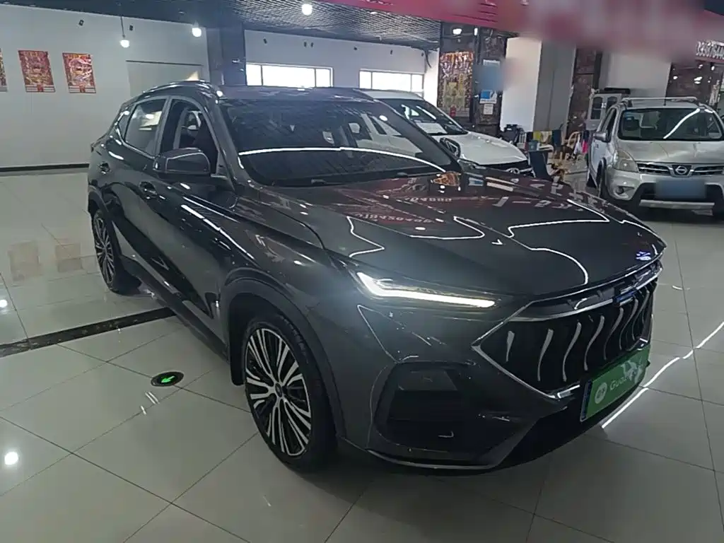 Oshan Oushang X5 — миниатюра 4