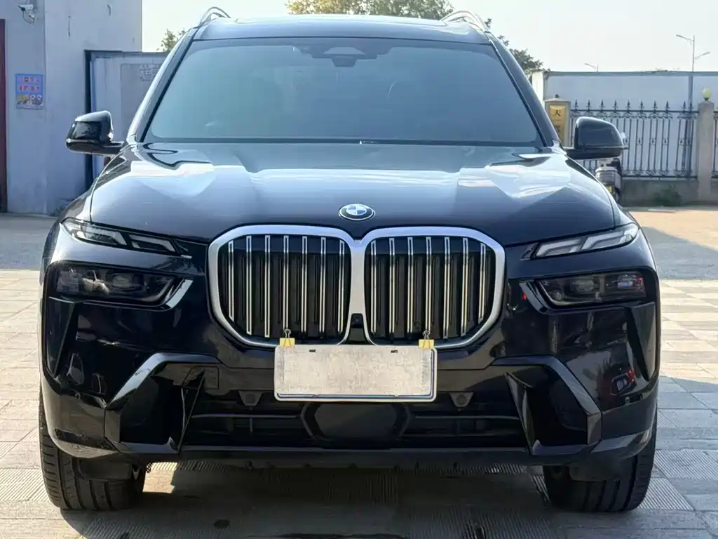 BMW X7 — миниатюра 2