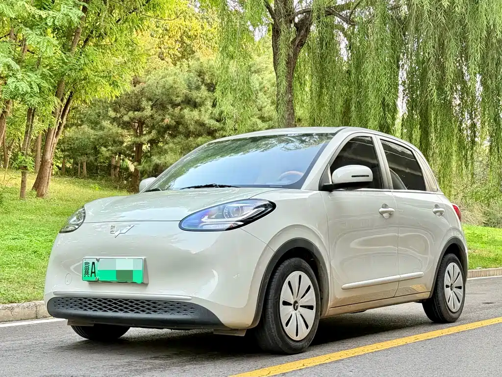 Wuling Bingo