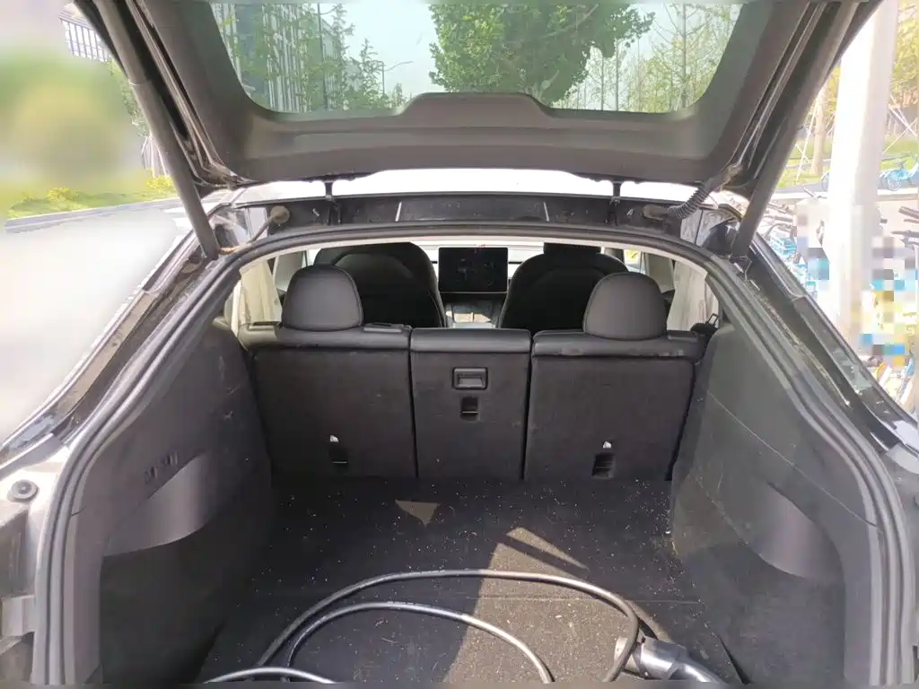 Tesla Model Y — миниатюра 15