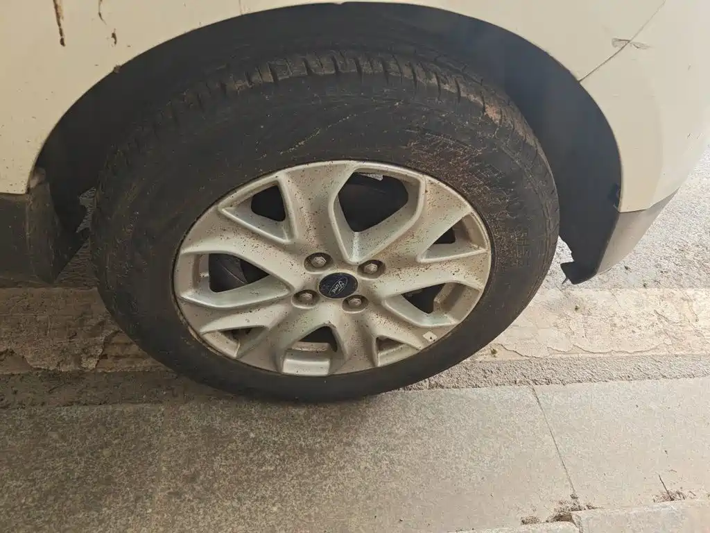 Ford Ecosport — миниатюра 24