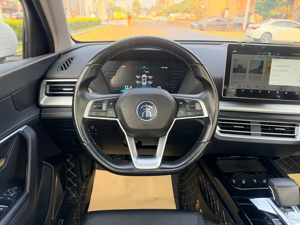 BYD Pro — миниатюра 15