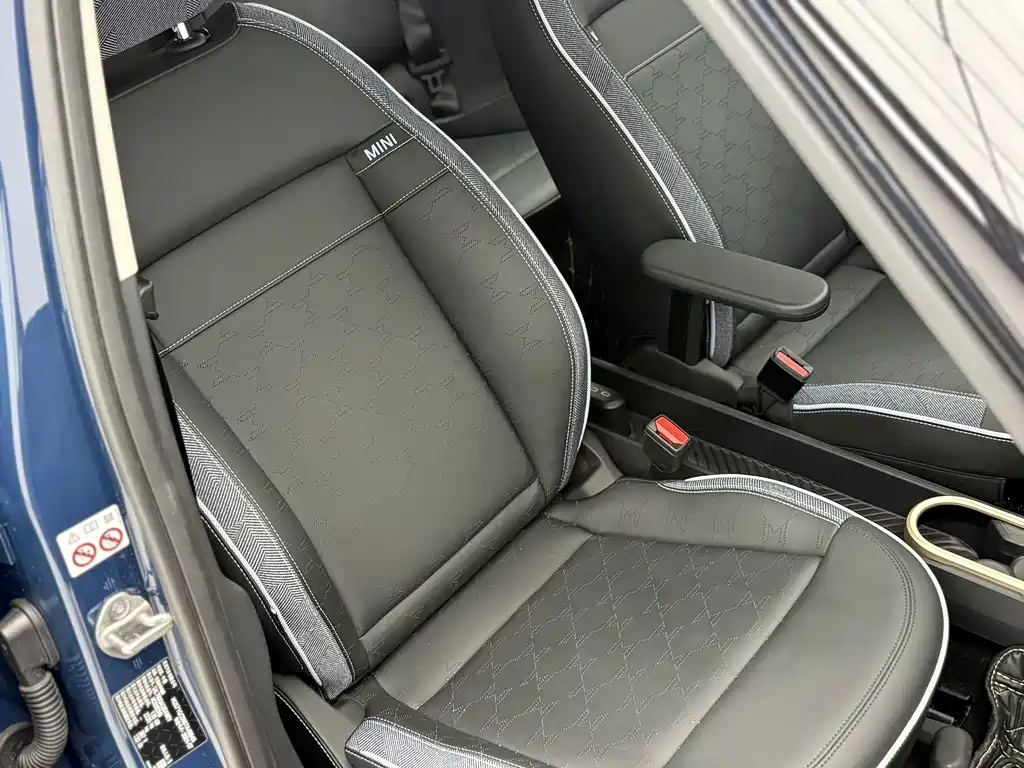 MINI MINI ACEMAN EV — миниатюра 19