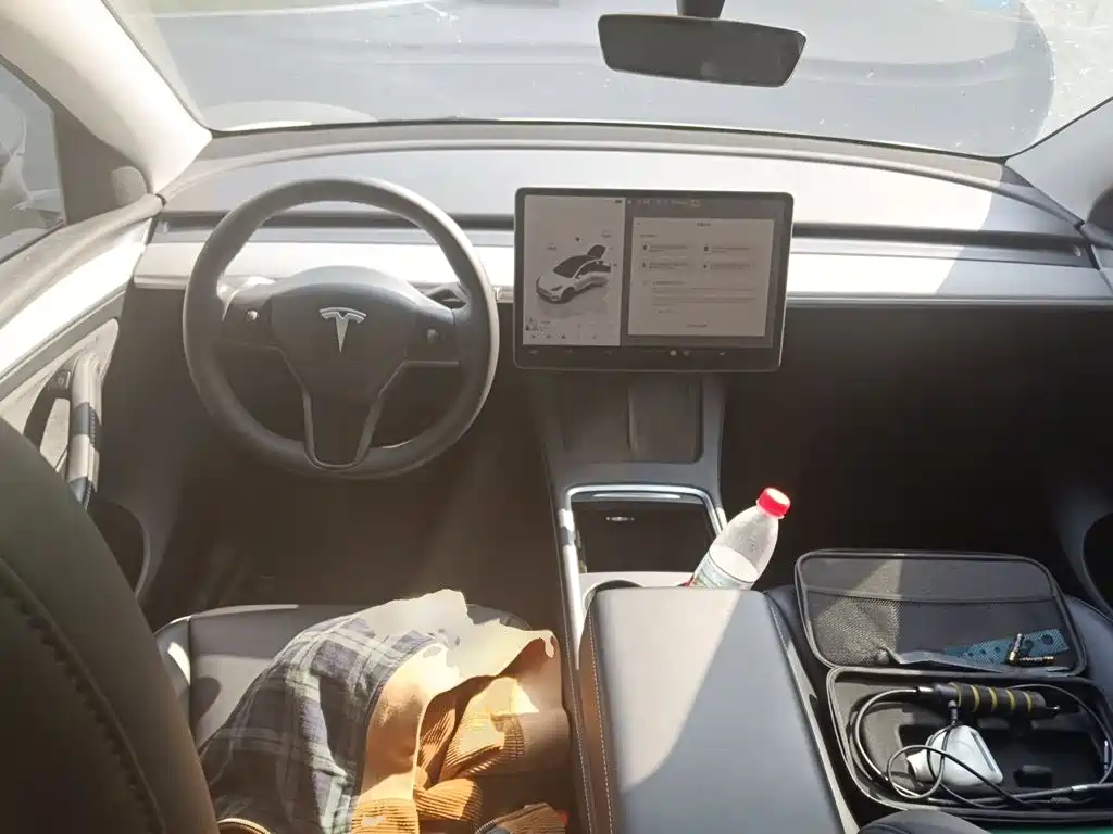 Tesla Model Y — миниатюра 10