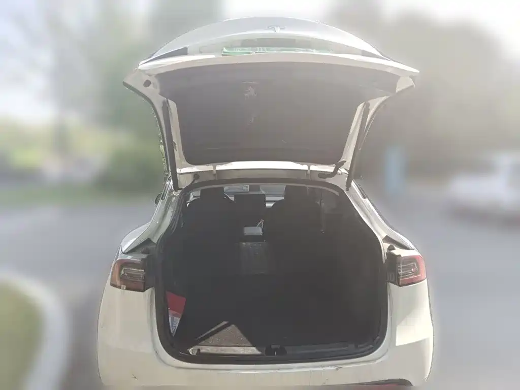 Tesla Model Y — миниатюра 20