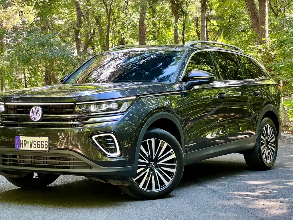 Volkswagen Tavendor — миниатюра 2