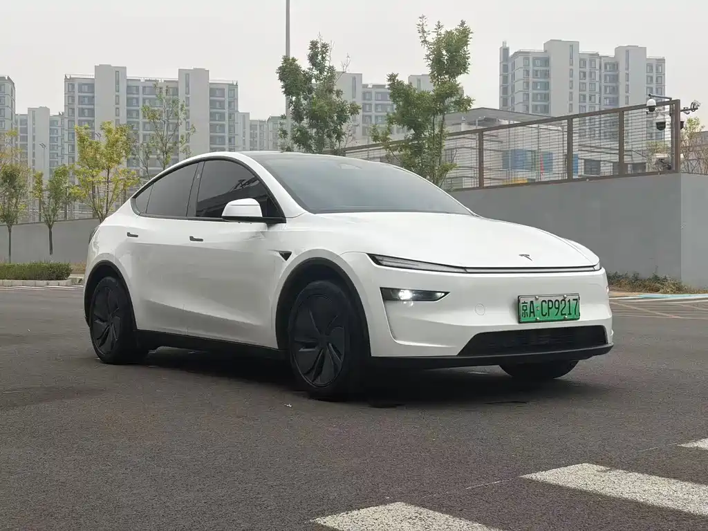 Tesla Model Y — миниатюра 3