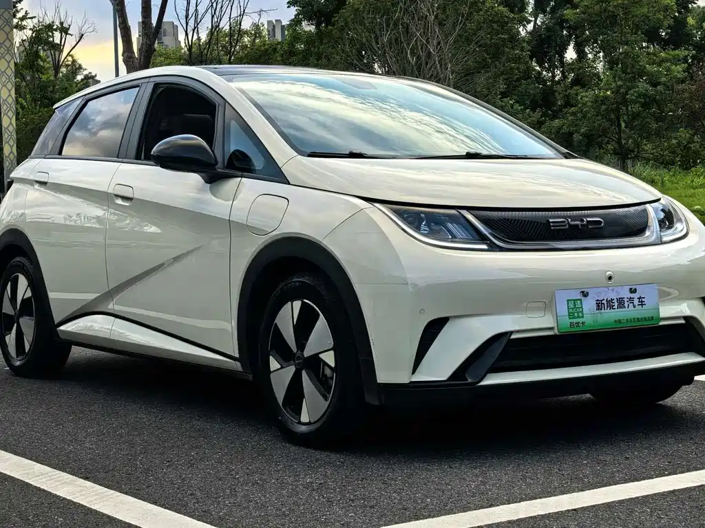 BYD Dolphin — миниатюра 3