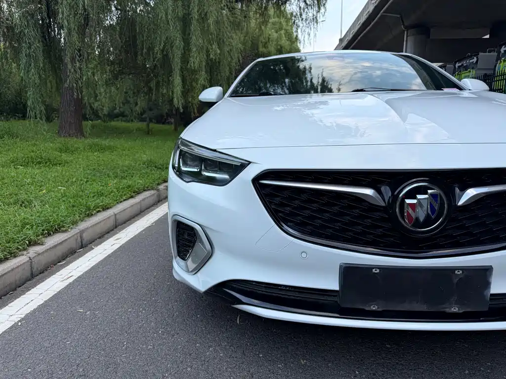 Buick Regal — миниатюра 14