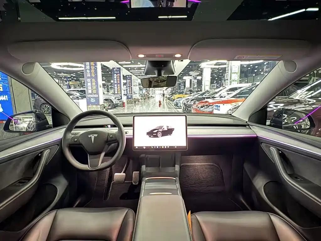 Tesla Model Y — миниатюра 10
