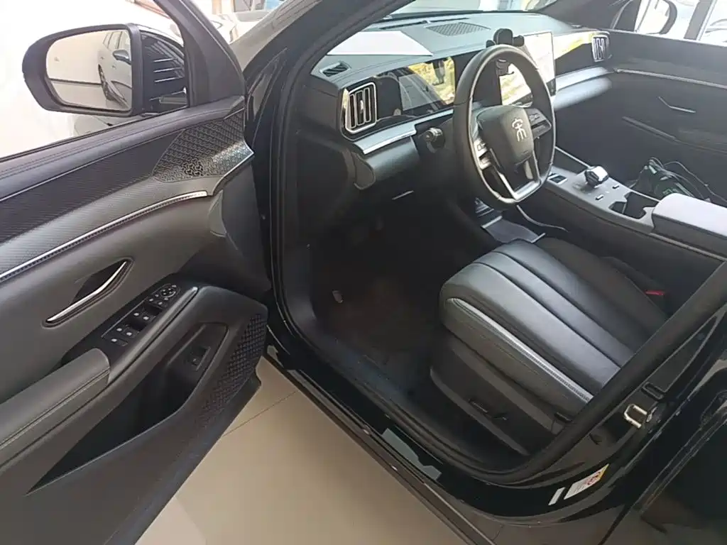 BYD Pro New Energy — миниатюра 16