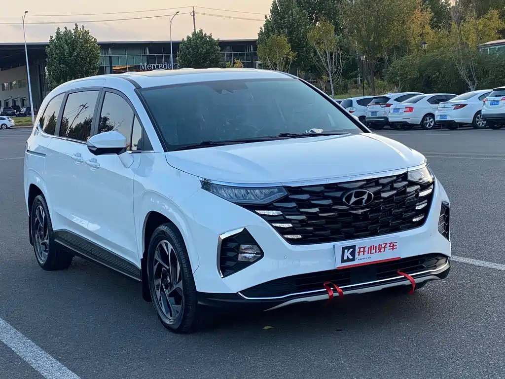 Hyundai Custo — миниатюра 3