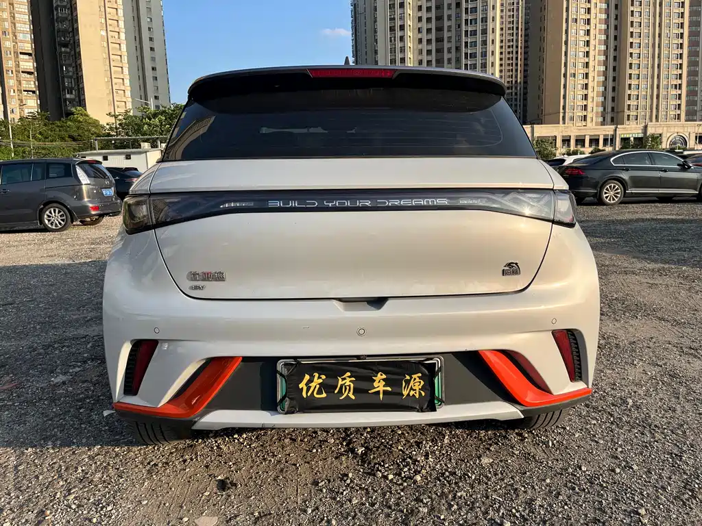 BYD Dolphin 2021 405km Fashion